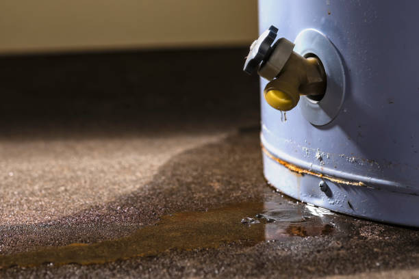 Best Ceiling water damage repair  in Kalamazoo, MI