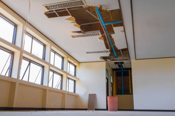Best Mold removal after water damage  in Kalamazoo, MI