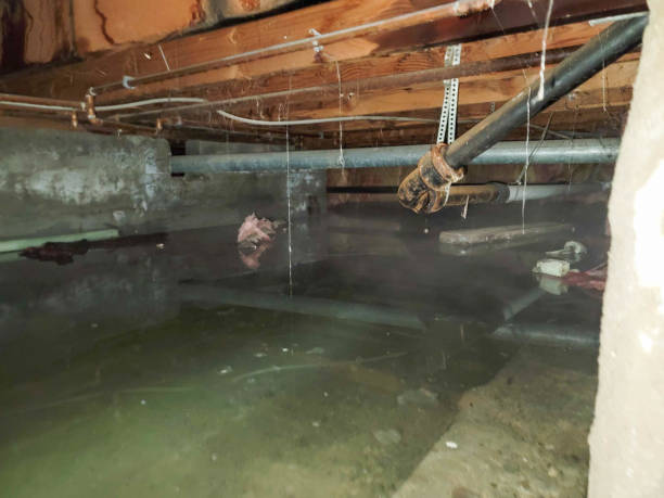 Best Water damage restoration specialists  in Kalamazoo, MI