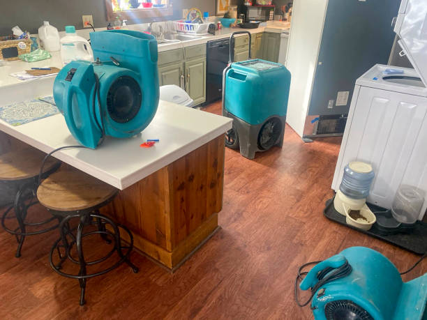 Best 24-hour water damage restoration  in Kalamazoo, MI