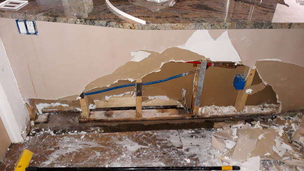 Best Local water damage restoration  in Kalamazoo, MI