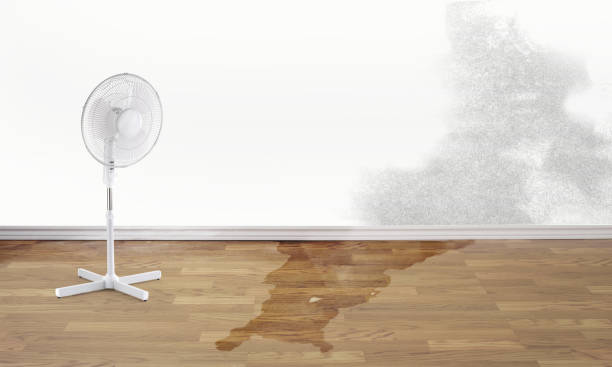 Best Commercial water damage restoration  in Kalamazoo, MI