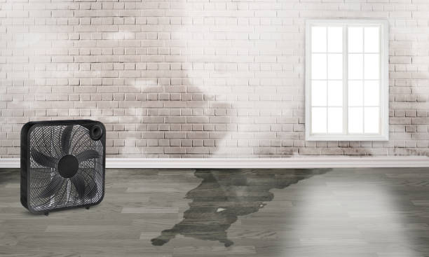 Best Ceiling water damage repair  in Kalamazoo, MI
