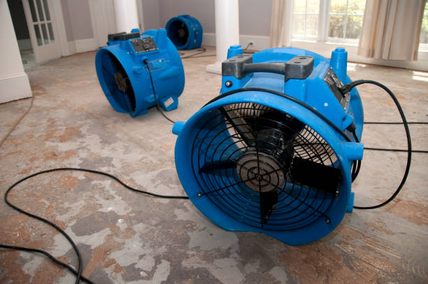 Best Water damage restoration near me  in Kalamazoo, MI