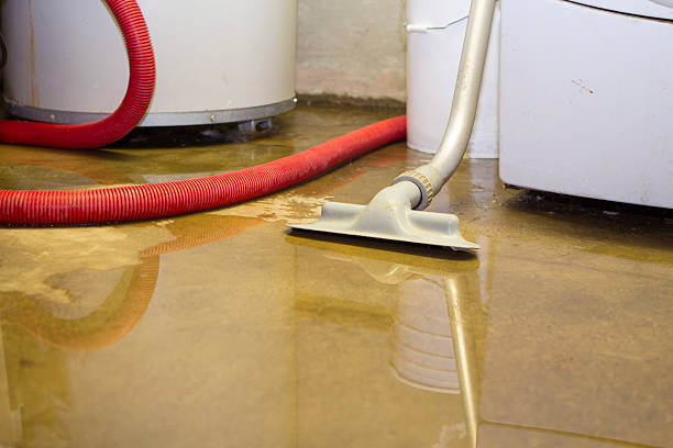 Best Emergency water extraction  in Kalamazoo, MI