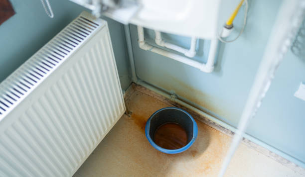 Best Flood damage cleanup  in Kalamazoo, MI