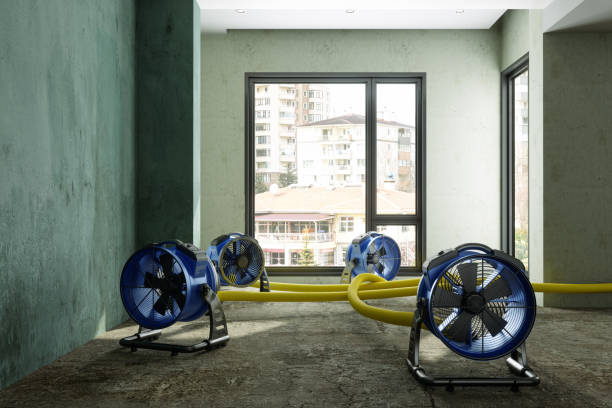 Best Residential water damage restoration  in Kalamazoo, MI